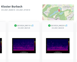 Audiomoth Visualizer